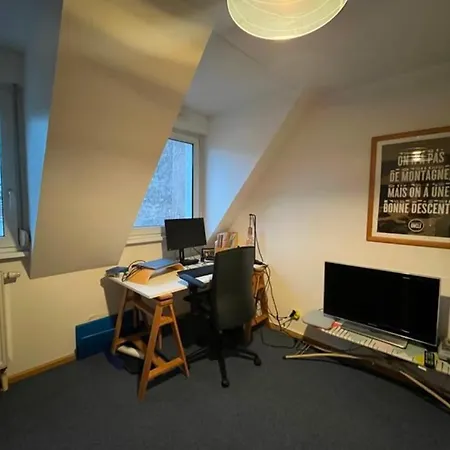Apartment Grand Sous Les Toits Strasbourg